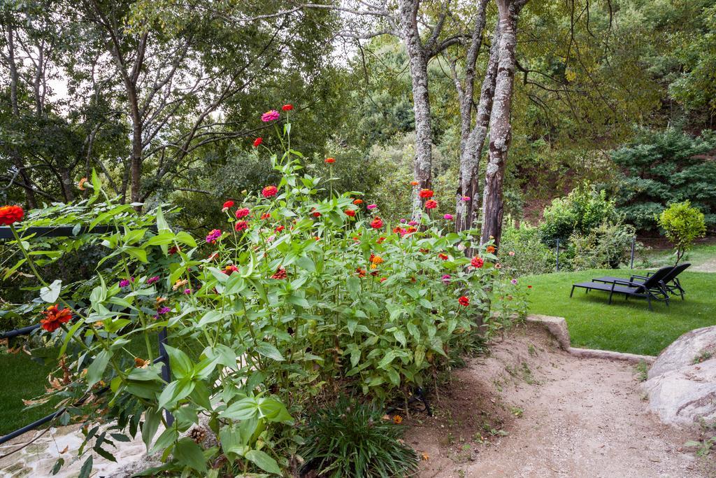 Quinta Da Bouca - Agroturismo Pacos de Gaiolo ห้อง รูปภาพ